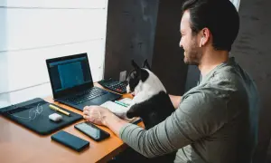 Mężczyzna z psem pracuje przy laptopie. Idealne warunki na pierwszą pracę dla informatyka bez doświadczenia, nawet z czworonożnym asystentem.