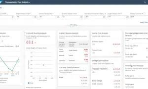 Analiza kosztów transportu SAP: wykresy i dane dotyczące dystrybucji kosztów, analizy sieci logistycznej i przewoźników.