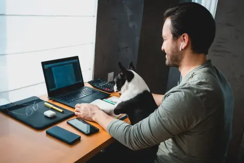 Mężczyzna z psem pracuje przy laptopie. Idealne warunki na pierwszą pracę dla informatyka bez doświadczenia, nawet z czworonożnym asystentem.