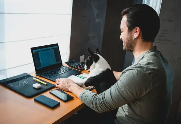Mężczyzna z psem pracuje przy laptopie. Idealne warunki na pierwszą pracę dla informatyka bez doświadczenia, nawet z czworonożnym asystentem.